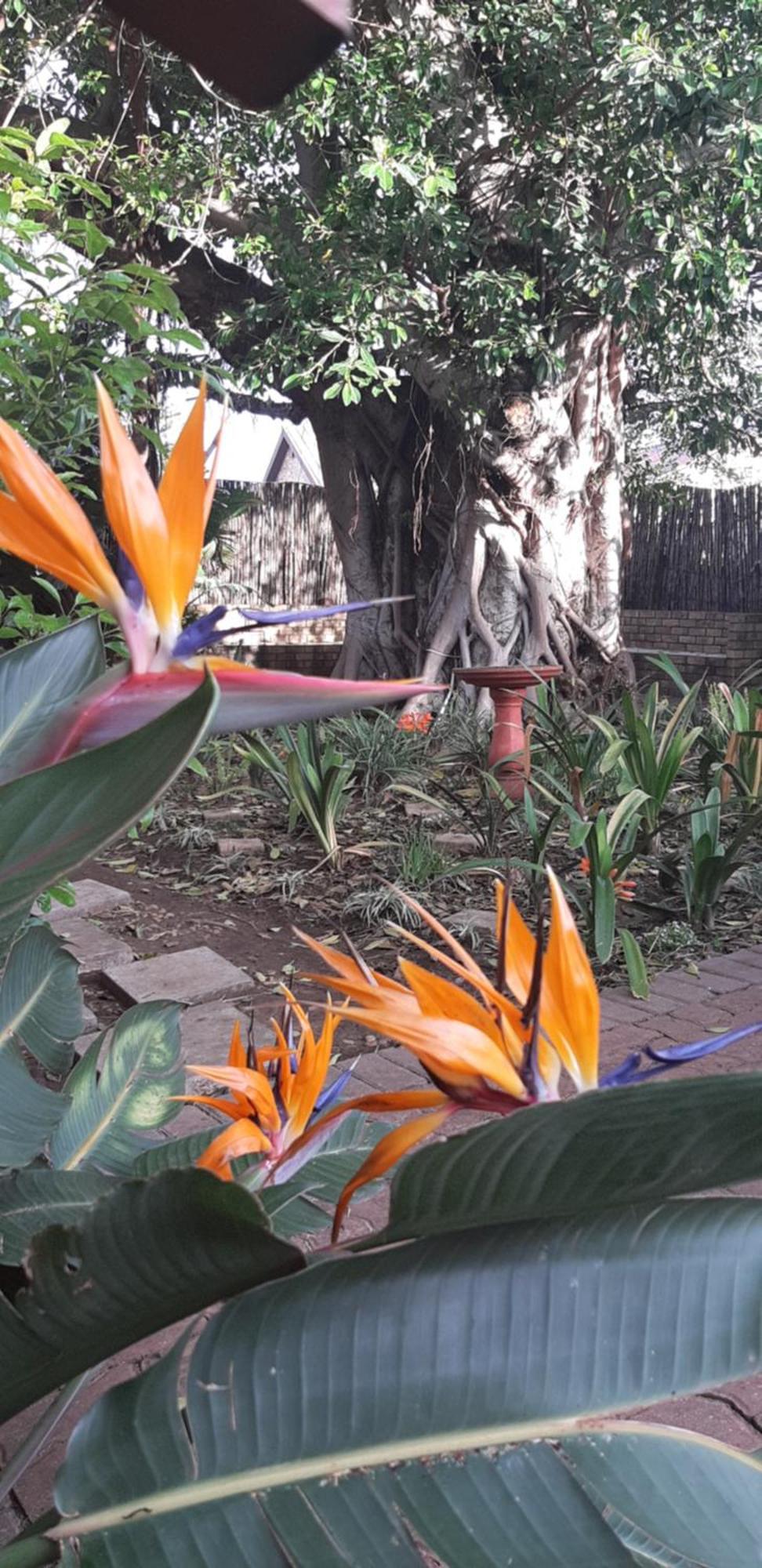 Aquarius Bed And Breakfast Jeffreys Bay Exterior foto